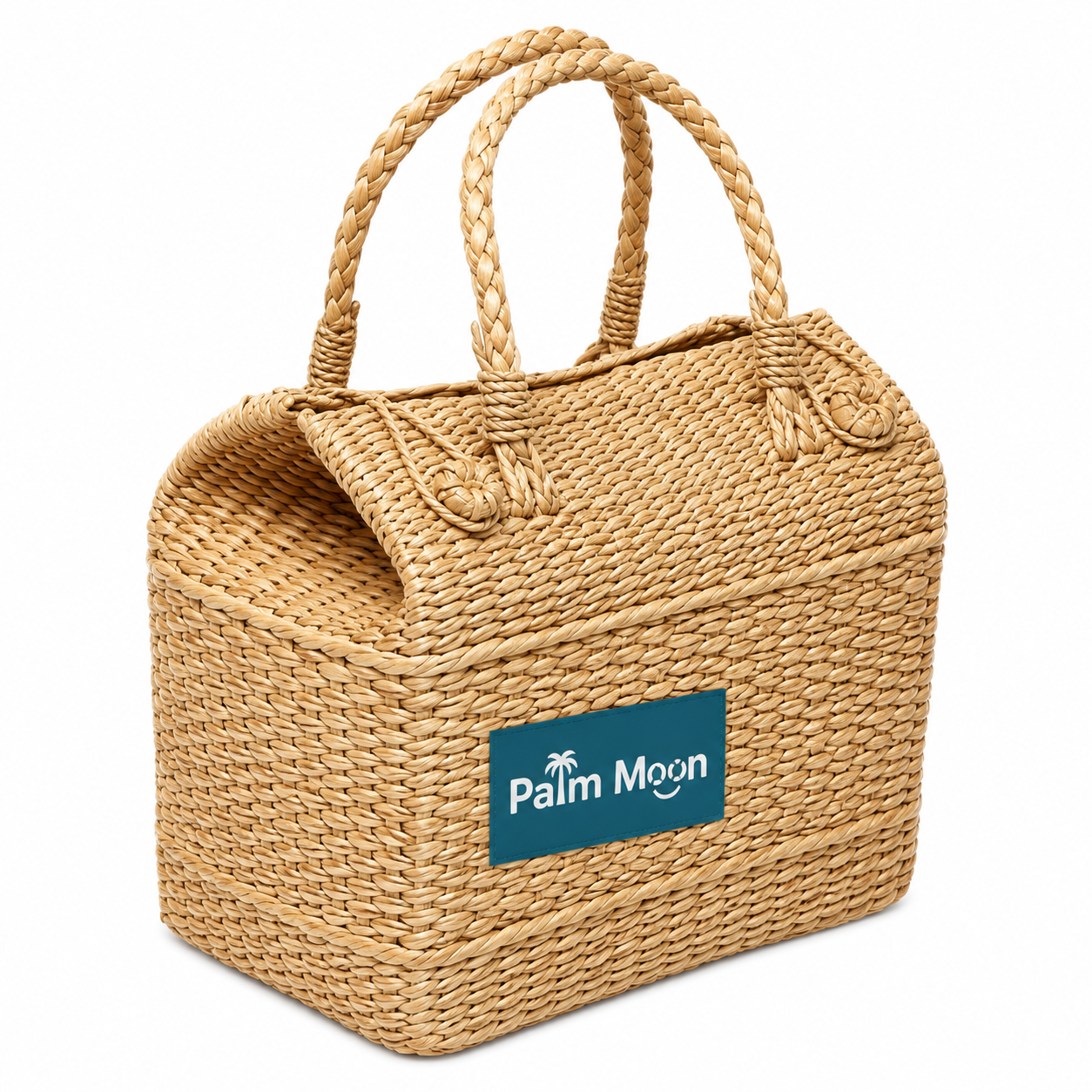 Palm Moon Handwoven Picnic Bag